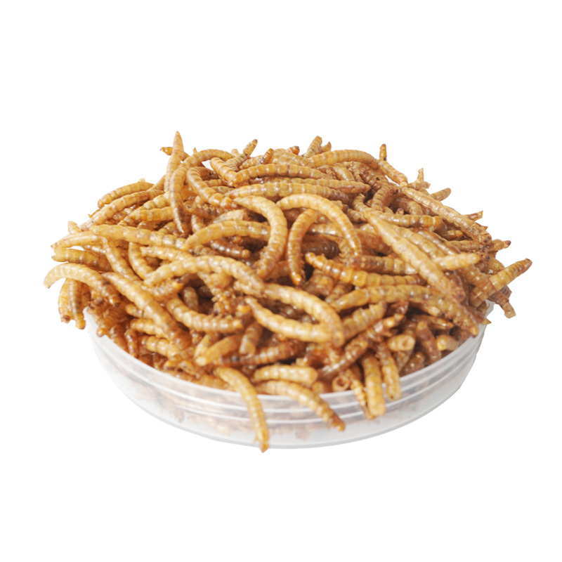 Food Protein Snacks - Eiwitrijke snacks voor hamsters, vogels, egels,