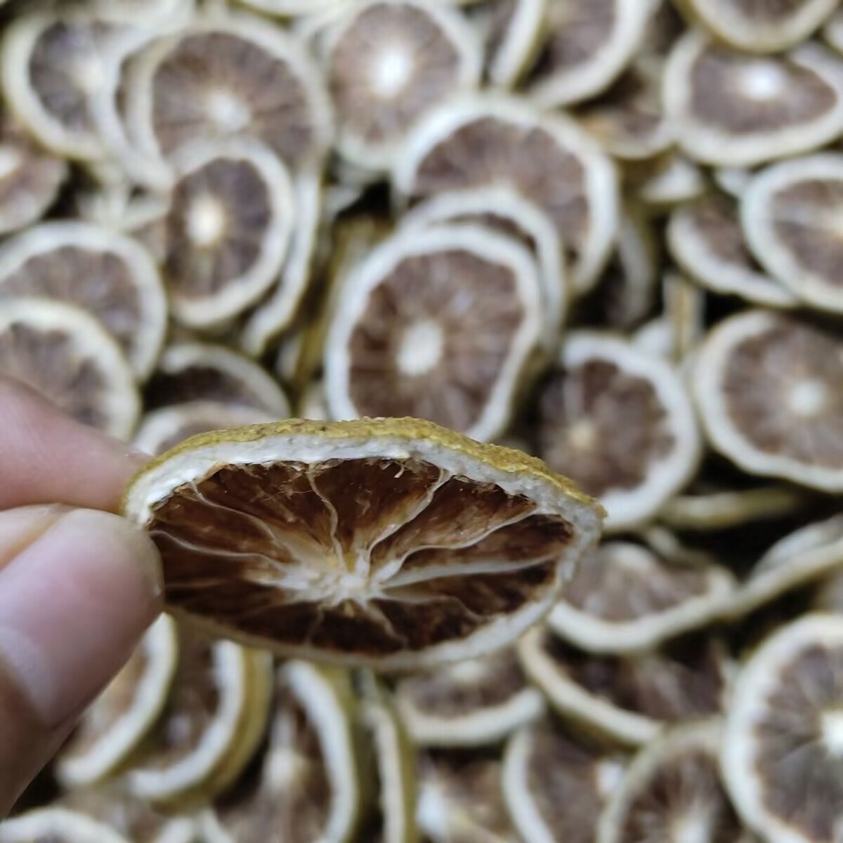 Premium natuurlijke gedroogde  - Dried Fruit Mix recensie en prijs