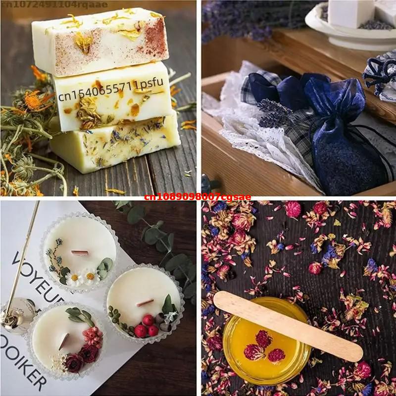 Topkwaliteit natuurlijke gedro - Dried Fruit Mix recensie en prijs